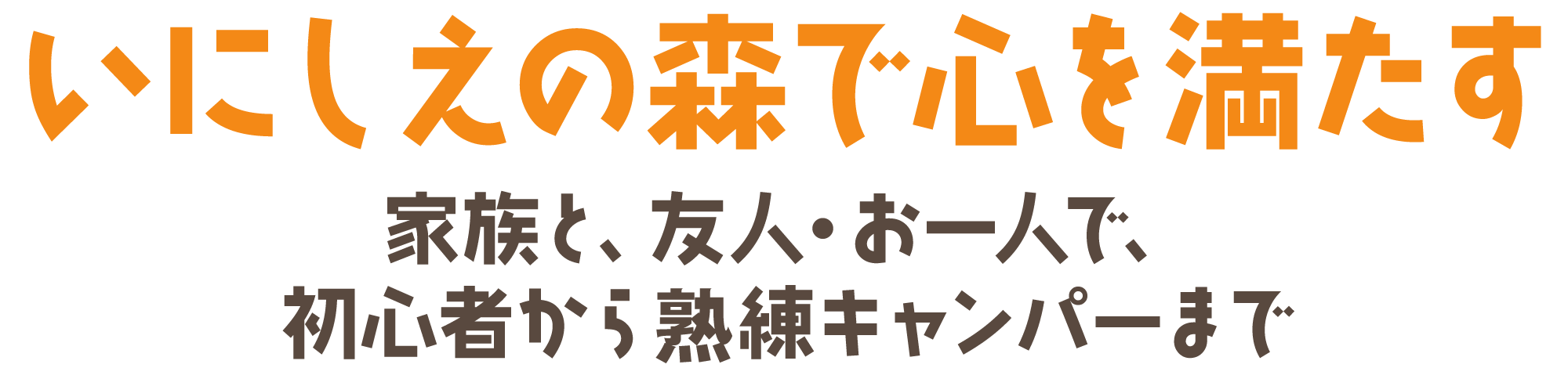 いにしえの森で心を満たす